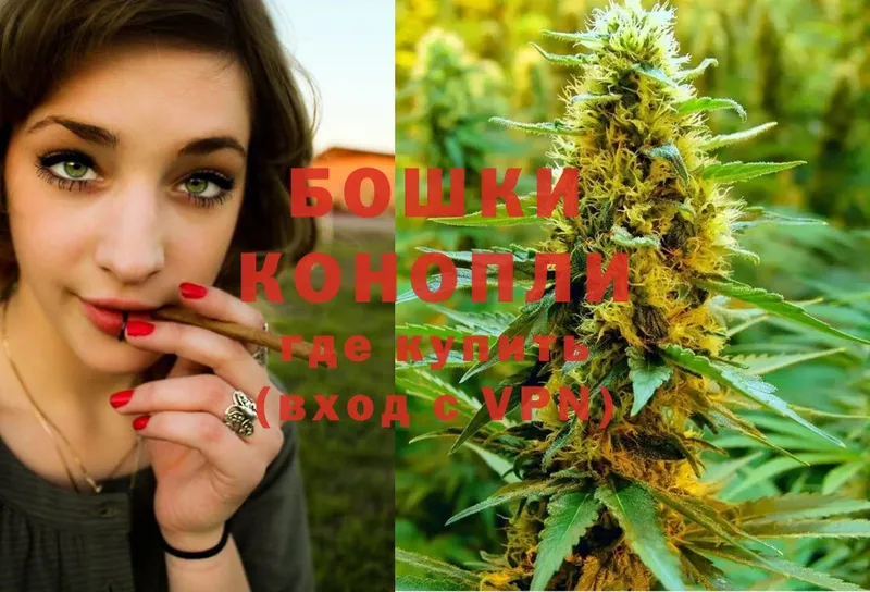 где купить   Белая Калитва  Бошки марихуана THC 21% 